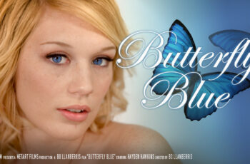 Butterfly Blue – Hayden Hawkens