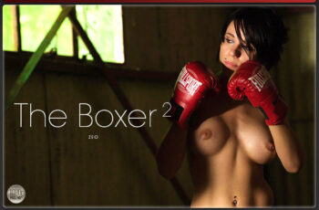 The Boxer 2 – Zeo