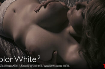 Color White 2 – Sonya N