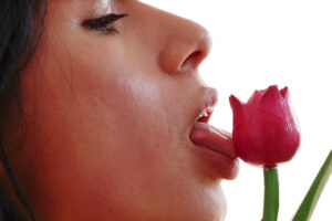 Flowers 2 – Berlina