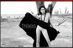 Dead Trees – Nadia